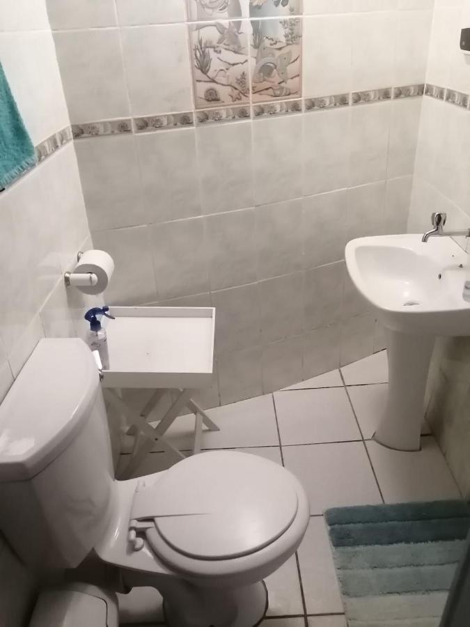 36 Mount Road Guesthouse And Self Catering بورت اليزابيث المظهر الخارجي الصورة